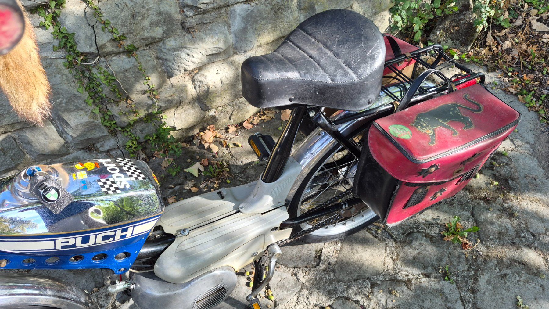 Puch Mofas: Puch X30 Velux – Gebraucht aus Buhwil von Donron0 7