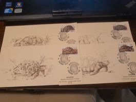 Lot de 4 enveloppes commémoratives tortues - Aranos!
