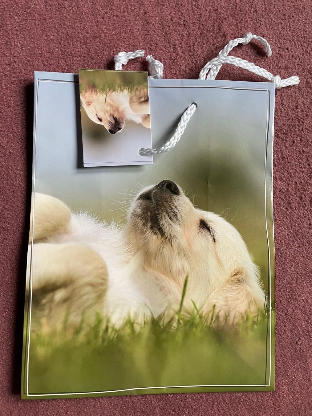 Carta: Hund Geschenk Geschenktüte Verpackung Tüte – Nuovo (secondo la descrizione) da Buchs SG venduto da Billikatze5