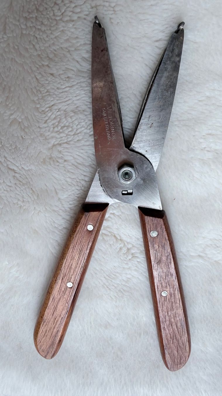 Victorinox Tutti gli attrezzi: Schere - Marke: Victorinox – Usato da Würenlos venduto da Abracadabra26 3