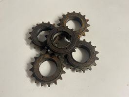 5x Freilauf S.I.C.C. Fulgur 16 Zähne