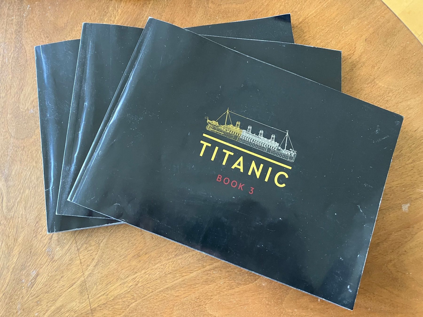 Kit di modellismo & Modellini statici: lego titanic 10294 – Usato da Bern venduto da Schrineraendu 1
