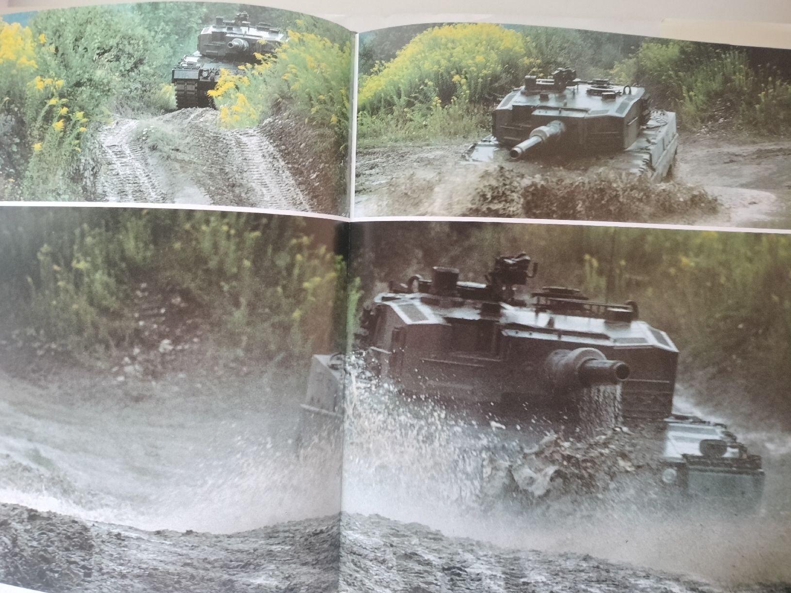 Libri: Schweizer Armee Militär Buch – Usato da Schwanden Sigrisw venduto da cadieux71 6