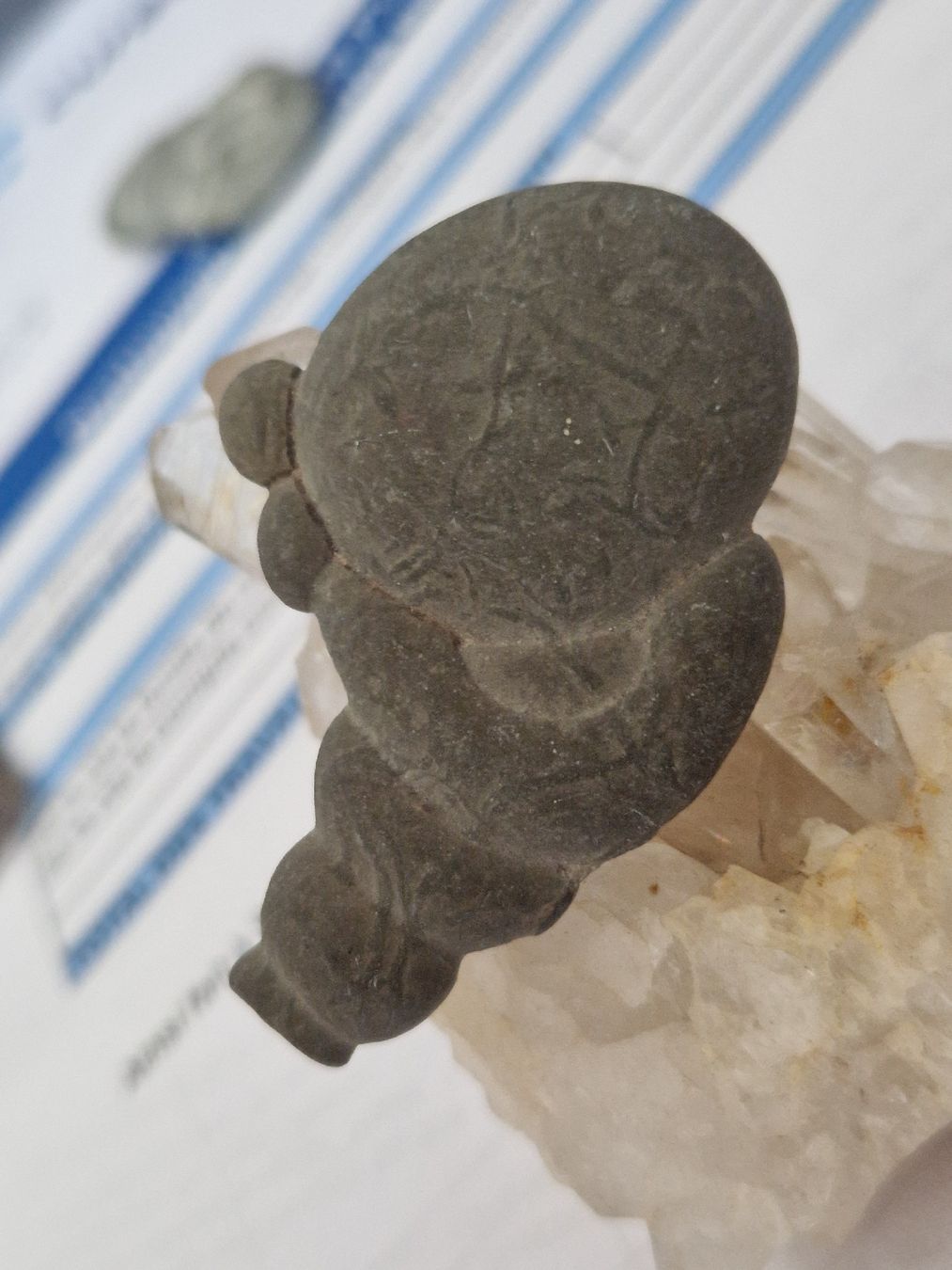 Mineralien & Heilsteine: PIERRE DE FEE DU CANADA – Neu (gemäss Beschreibung) aus SAXON von Mariposita1428 2
