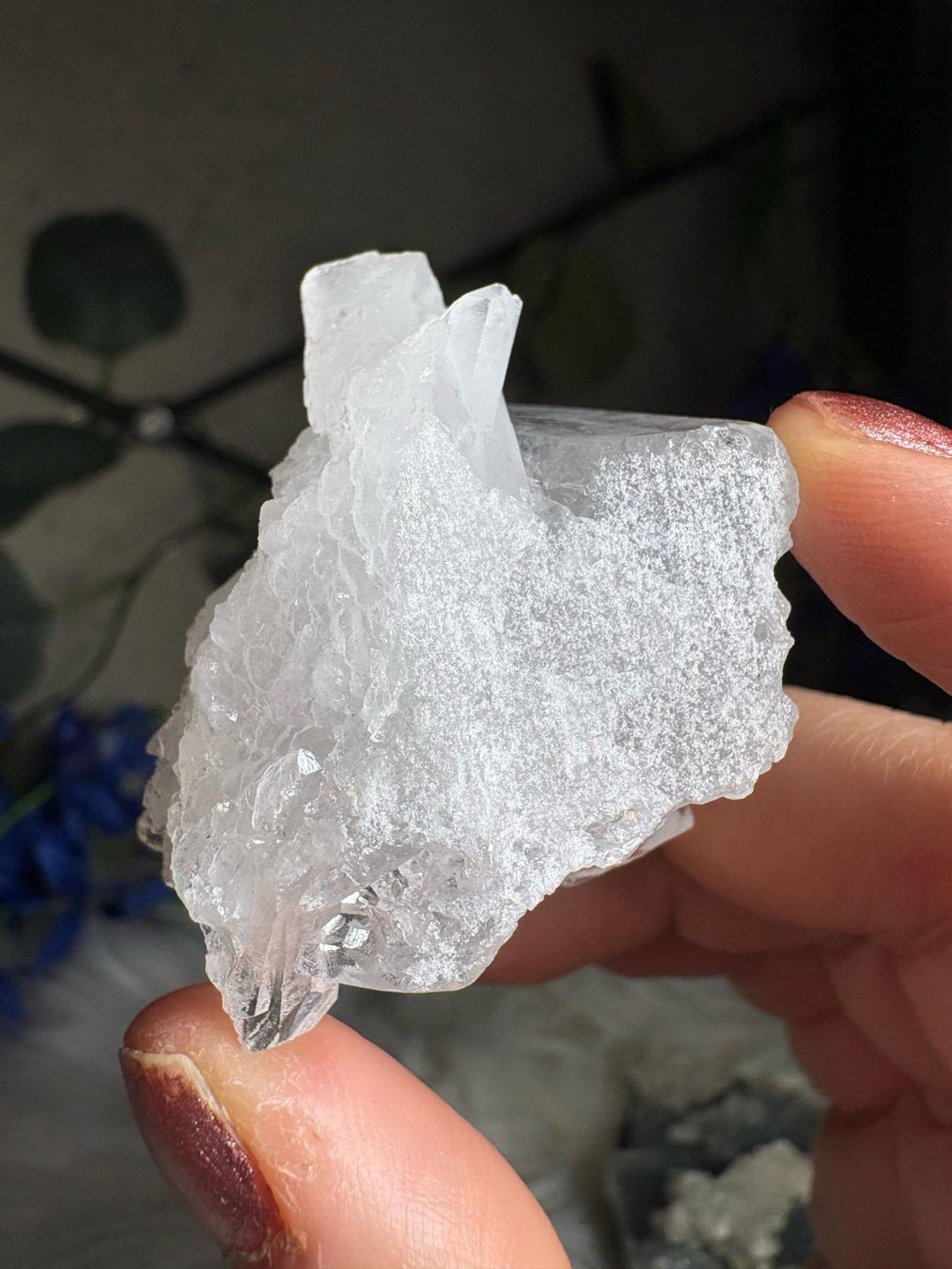Minerali & Pietre curative: Kolumbianischer Lemurian-Quarz-Cluster – Nuovo (secondo la descrizione) da Neuheim venduto da m.hald 6