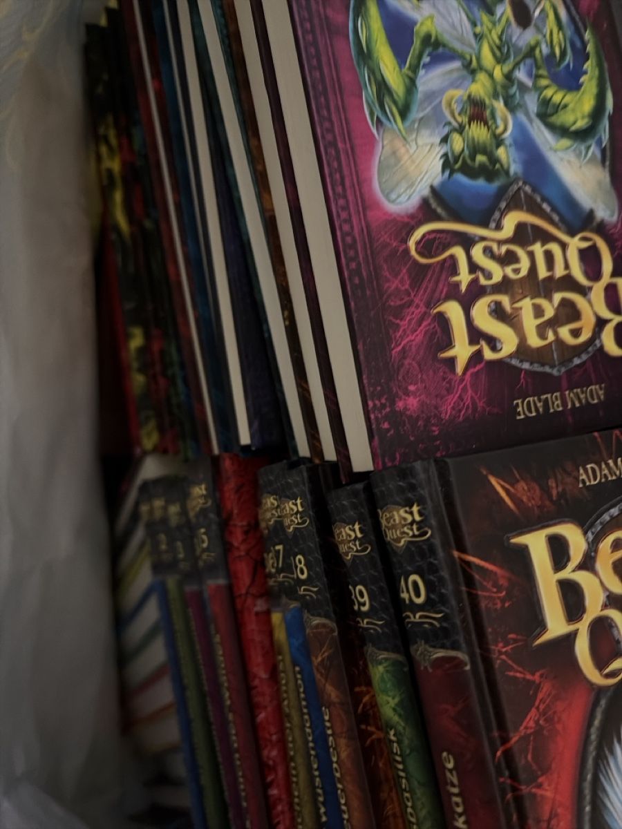 Libri: Beast Quest 1 bis 42 – Usato da Adliswil venduto da Karma09 1