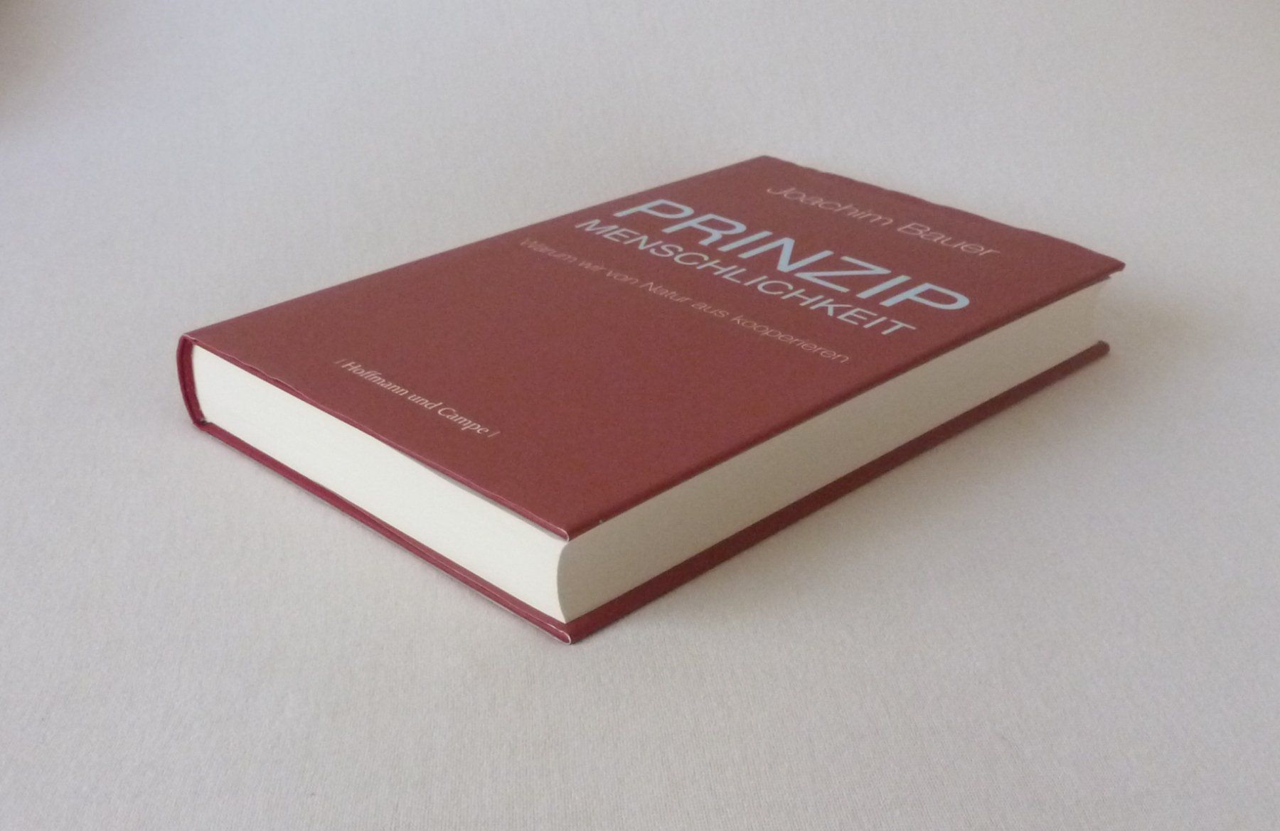 Libri: Prinzip Menschlichkeit – Nuovo e nell'imballaggio originale da Mauren venduto da Yeelen 2