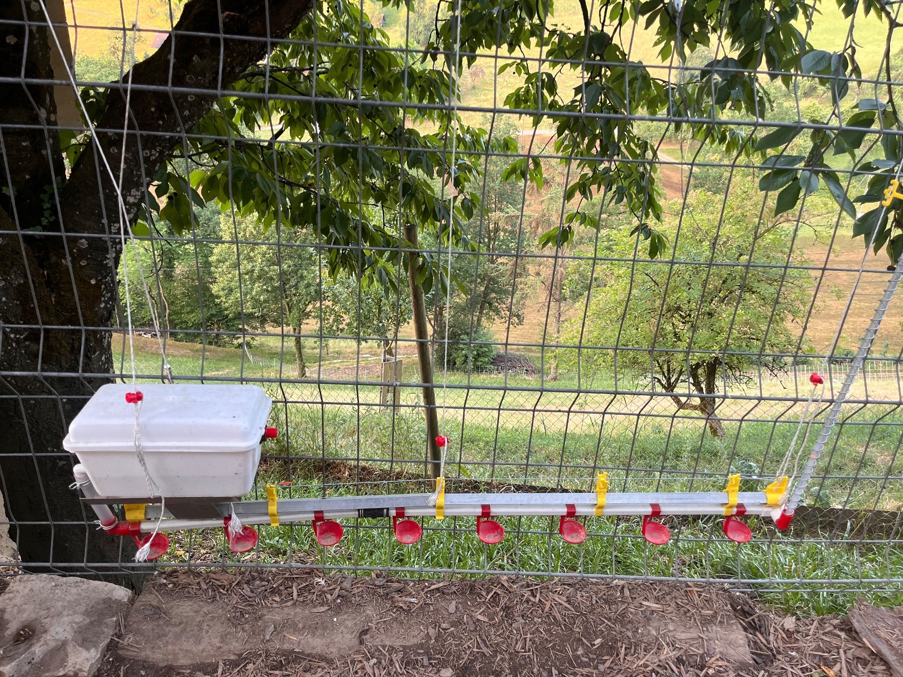 Cages, transport & sécurité: Geflügeltränke – Neuf (Voir description) à Richenthal par vonsengeralexander