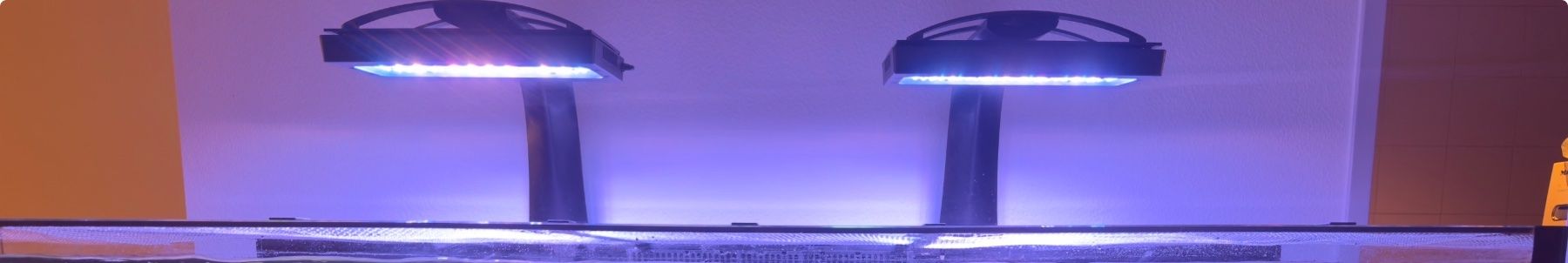 Lampen: Ecotech Radion XR30 G6 Blue – Gebraucht aus Plan Les Ouates von IvanGrimm