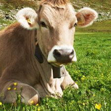 Profile image of AgriShop