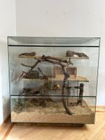 Nagerterrarium aus Glas ohne Einrichtung guter Zustand