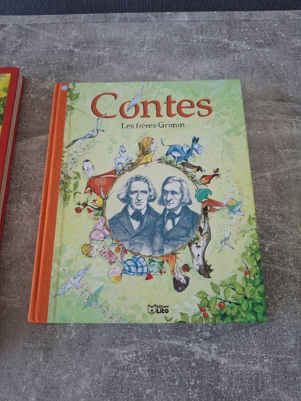 Bücher: Lot de livres de contes – Gebraucht aus Morges von ProfesseurJones 2