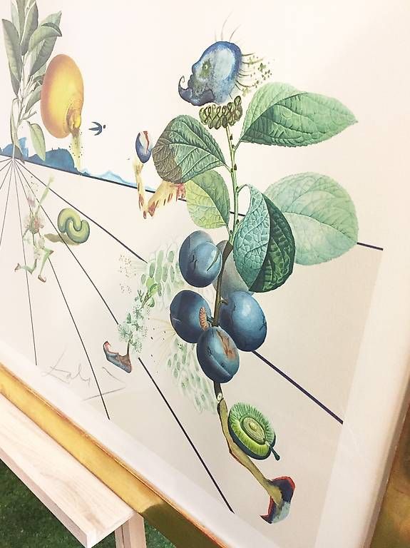 Grafica & Litografie: Lithographie Flordali I, Dali – Usato da Ballwil venduto da ClassicGallery 1