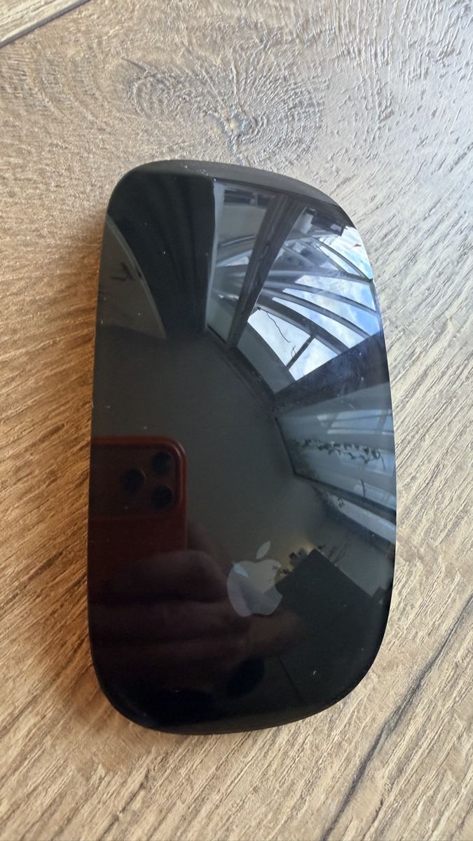 Apple Mouse: Ape Magic Mouse schwarz – Usato da Baldingen venduto da Mcknabe