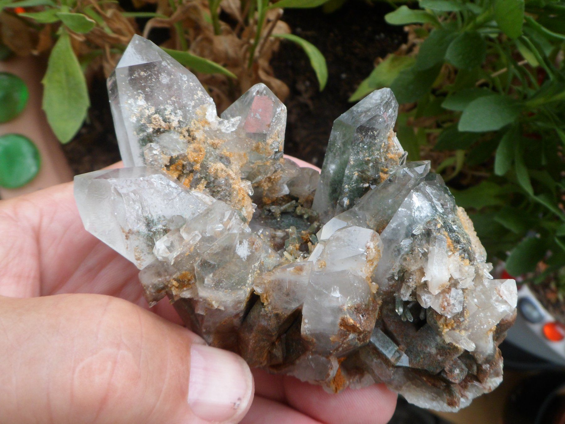 Minerali & Pietre curative: Bergkristall Schweiz – Nuovo (secondo la descrizione) da Affoltern am Albis venduto da Fossil60 1