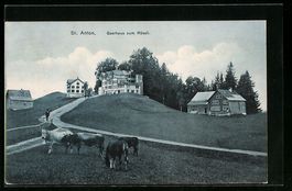 St. Anton, Kühe auf der Weide vor dem G