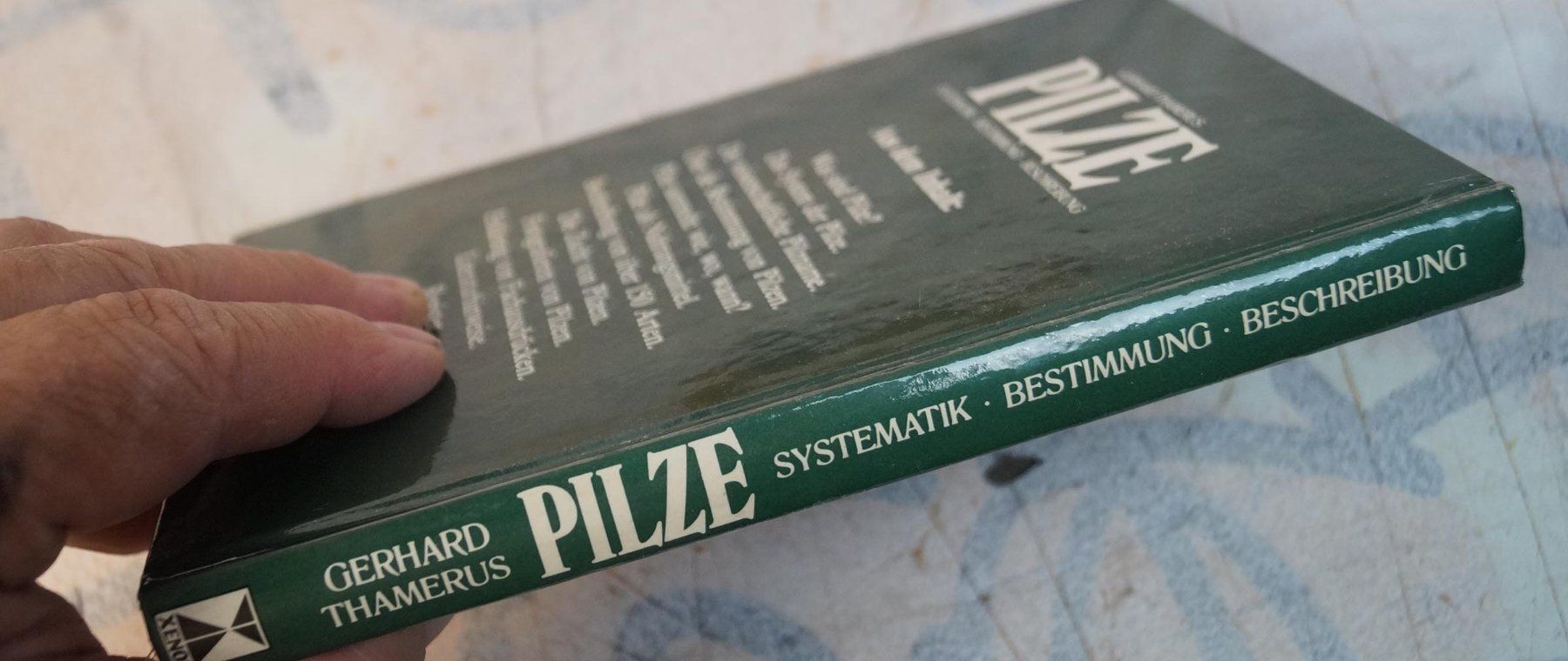 Bücher: Gerhard Thamerus – Pilze 🍄 – Gebraucht aus Härkingen von sammelbecken 2