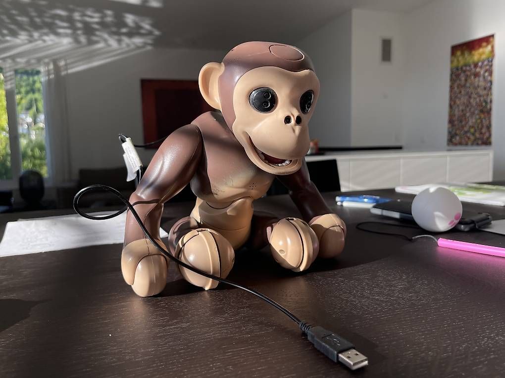 Spielzeuge: Zoomer Chimp, Schimpanse Roboter – Gebraucht aus Füllinsdorf von Minwagip 1