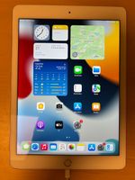iPad Air 2 (A1566) Weiss 32GB