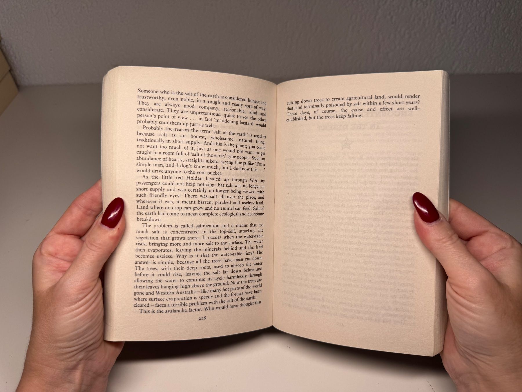 Libri: NOVEL: Ben Elton, Stark – Usato da Grosswangen venduto da English_books 5