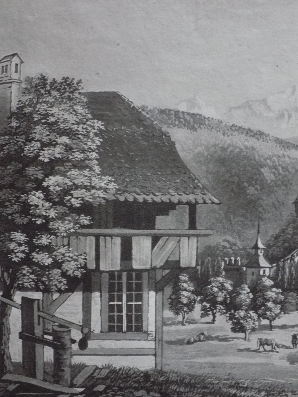 Incisioni: Thun Schloss – Usato da Risch venduto da Rischli15 3