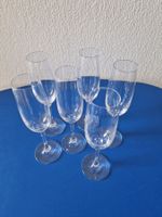 6 Stk. Spiegelau Sekt-/Champagnergläser