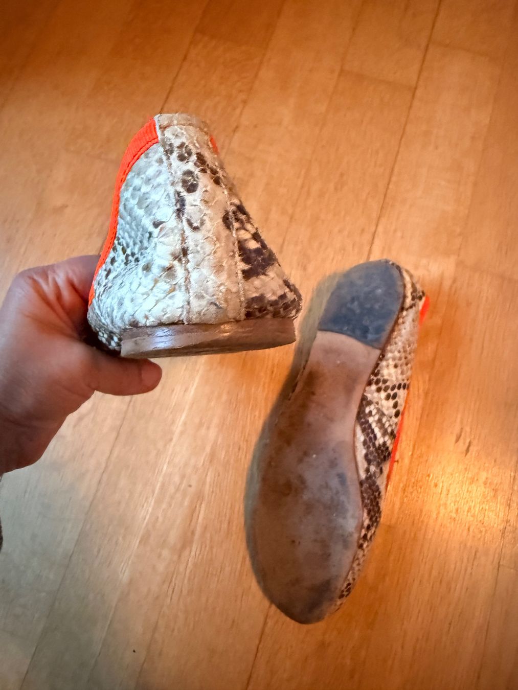 Damenschuhe: Ballerina - Studio Pollini Gr. 36 – Gebraucht aus Zürich von nirrek 1