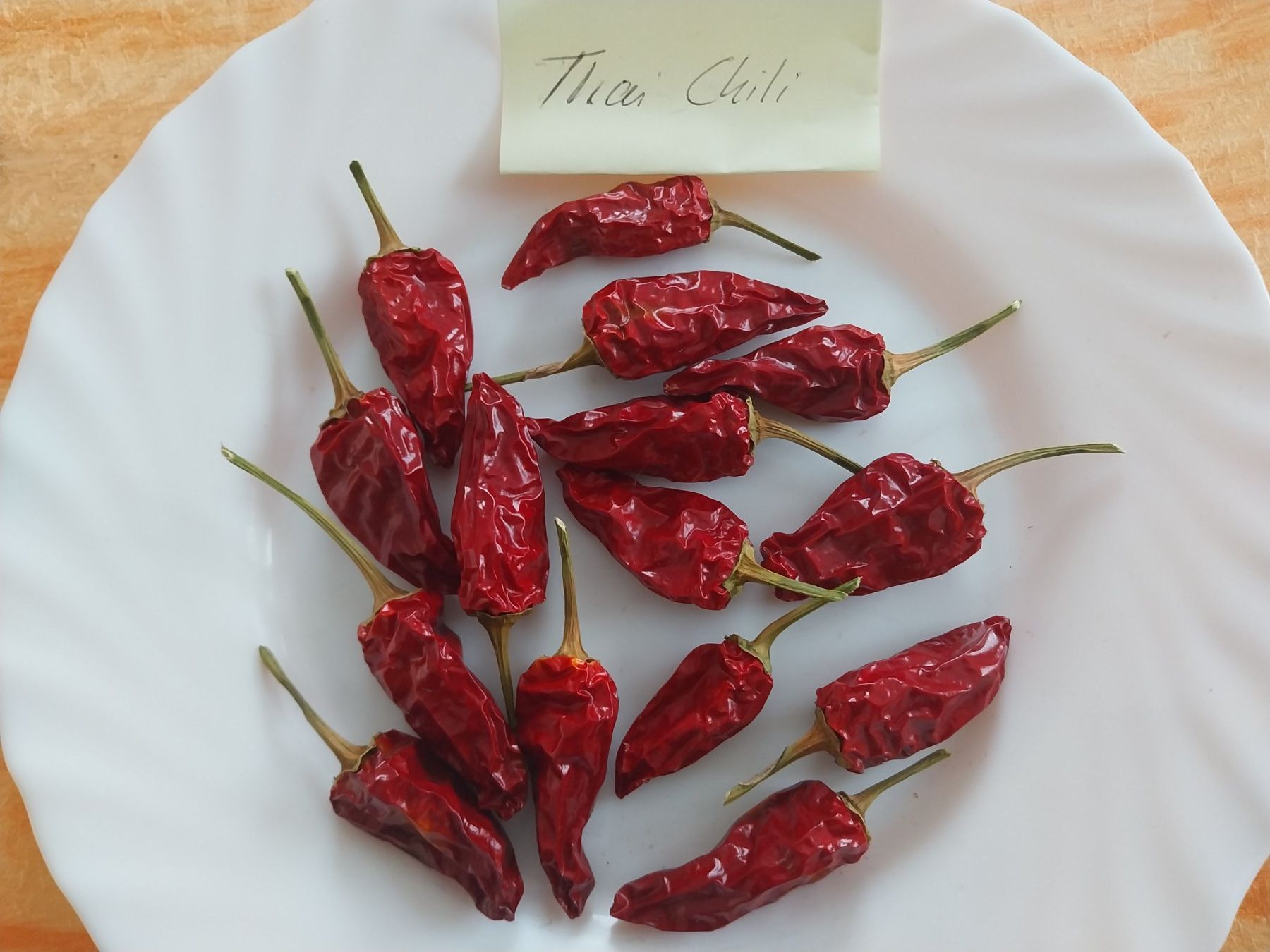 Piante & sementi: Thai Chili 10 Samen – Usato da Schwaderloch venduto da bademeister79 4
