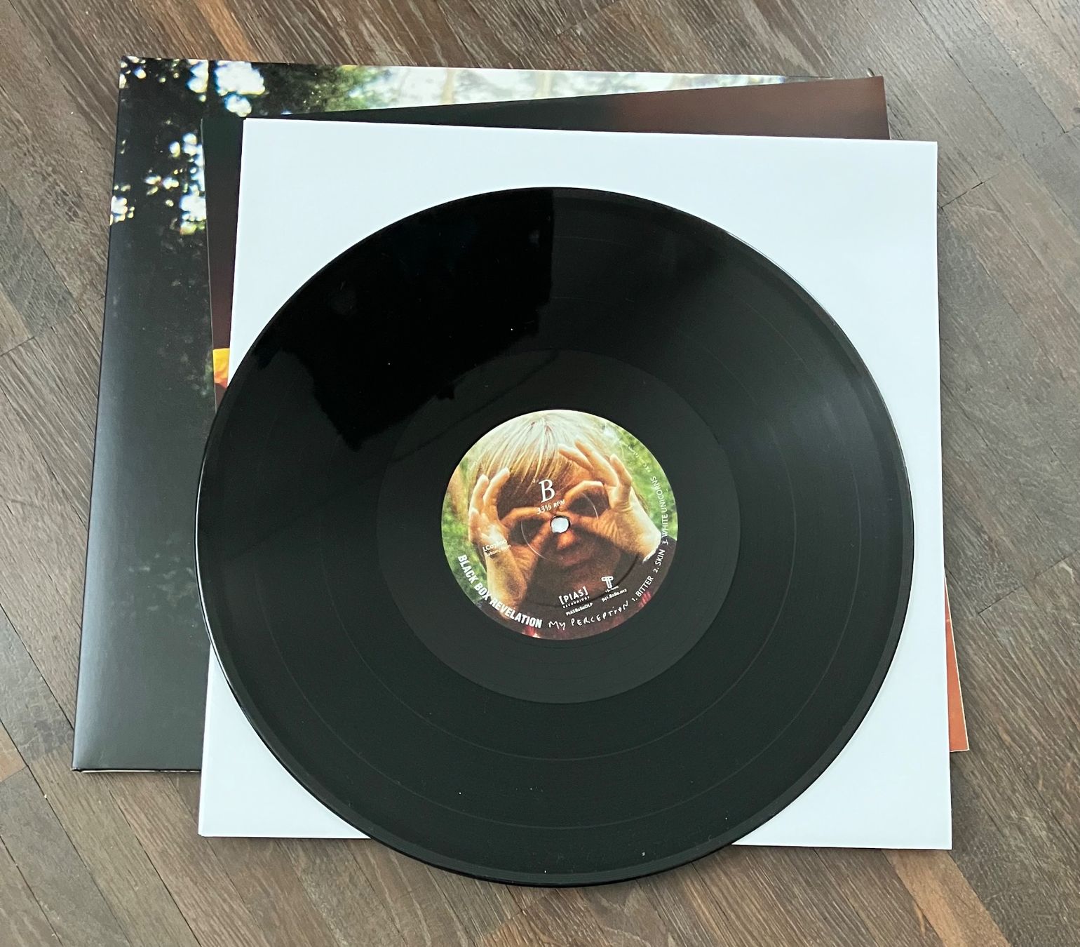 Dischi in vinile: THE BLACK BOX REVELATION - MY PERCEPTION – Usato da steffisburg venduto da Dstauffer 4