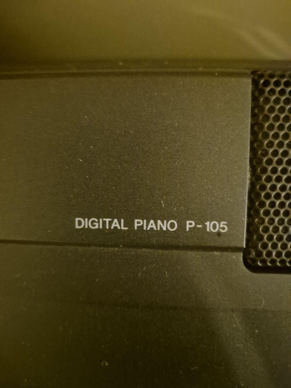 Yamaha Strumenti musicali: Digital Piano – Usato da Wolfwil venduto da JaggerW