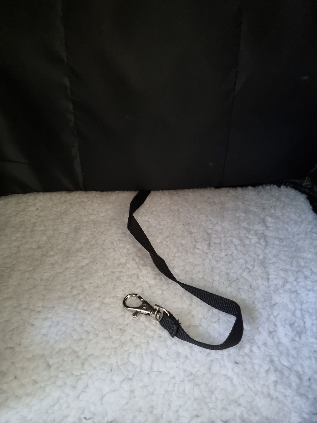 Cucce & Letti: Katzentransport Rucksack – Usato da Oberrieden venduto da Nat_ZH 5