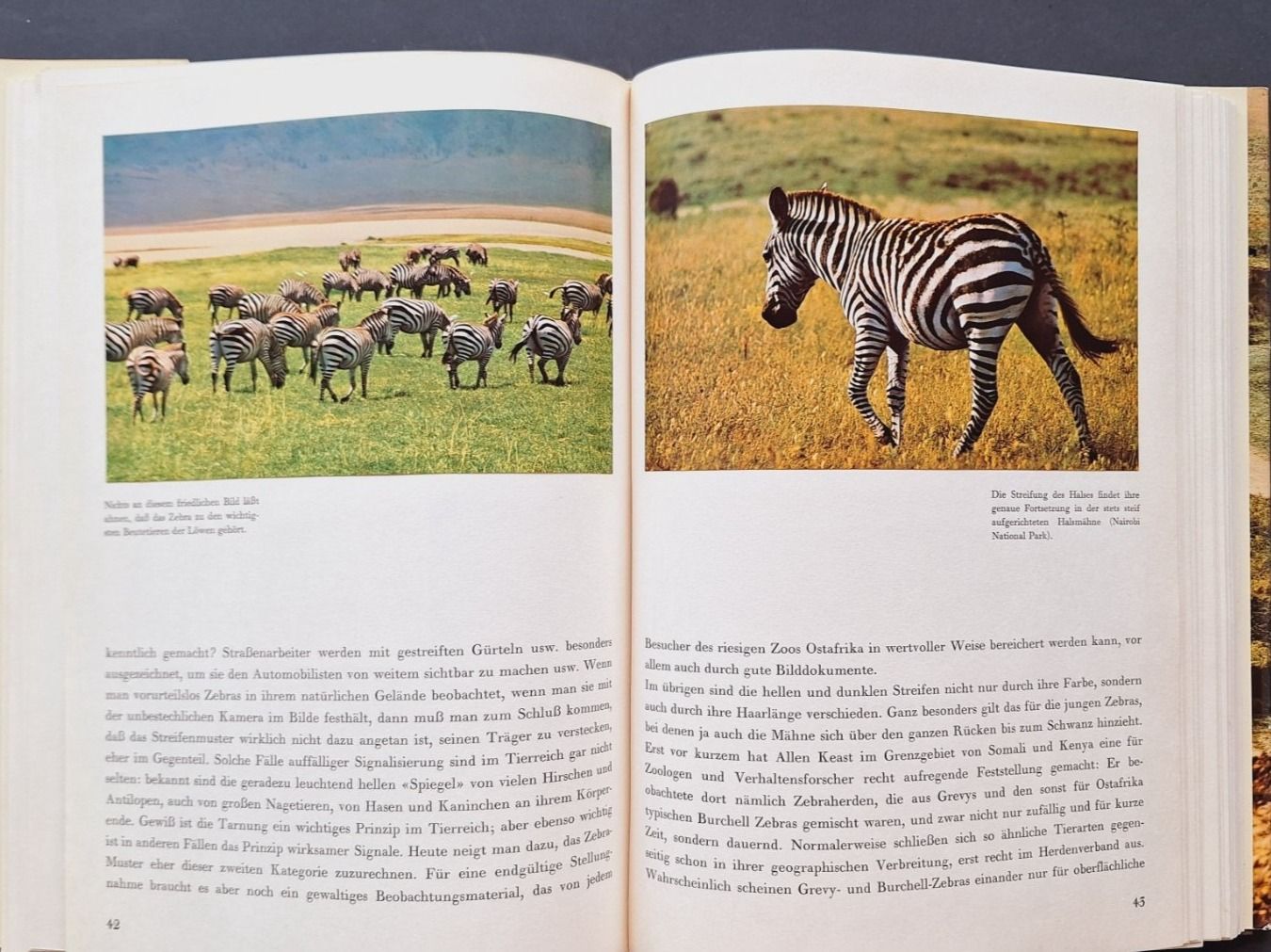 Libri: Zoo Ostafrika,  Silva Buch – Usato da Zürich venduto da t24_de 4