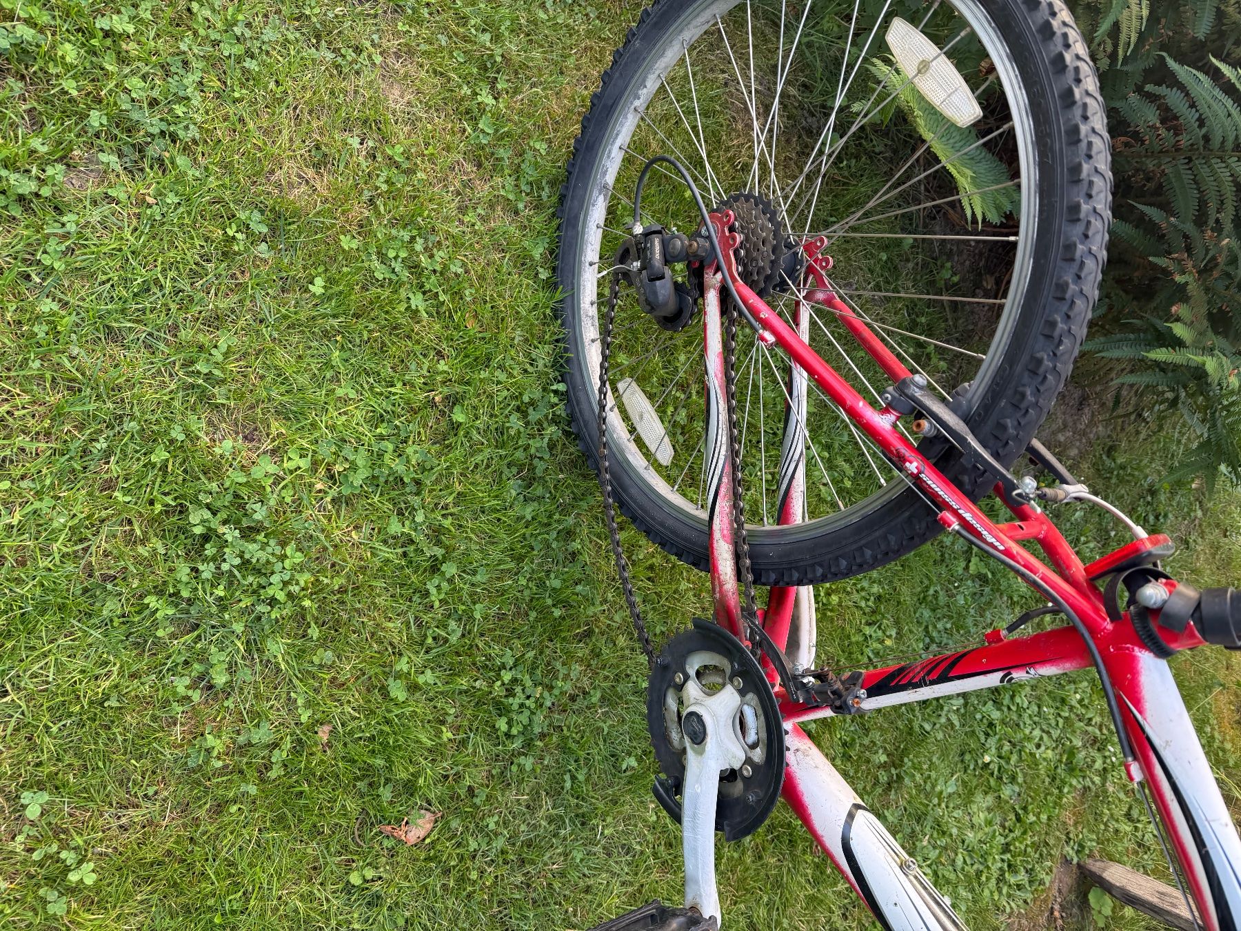 Biciclette: Kindervelo – Usato da Windisch venduto da Calium 1