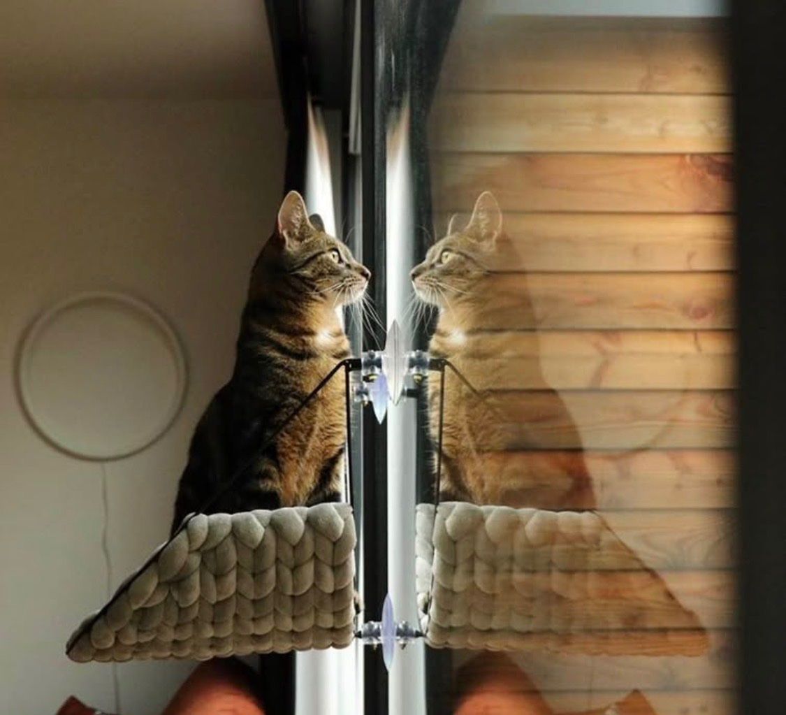 Trixie Cucce & Letti: Hamac pour chat en velours tressé – Usato da Cossonay-Ville venduto da eto_pdp6 1