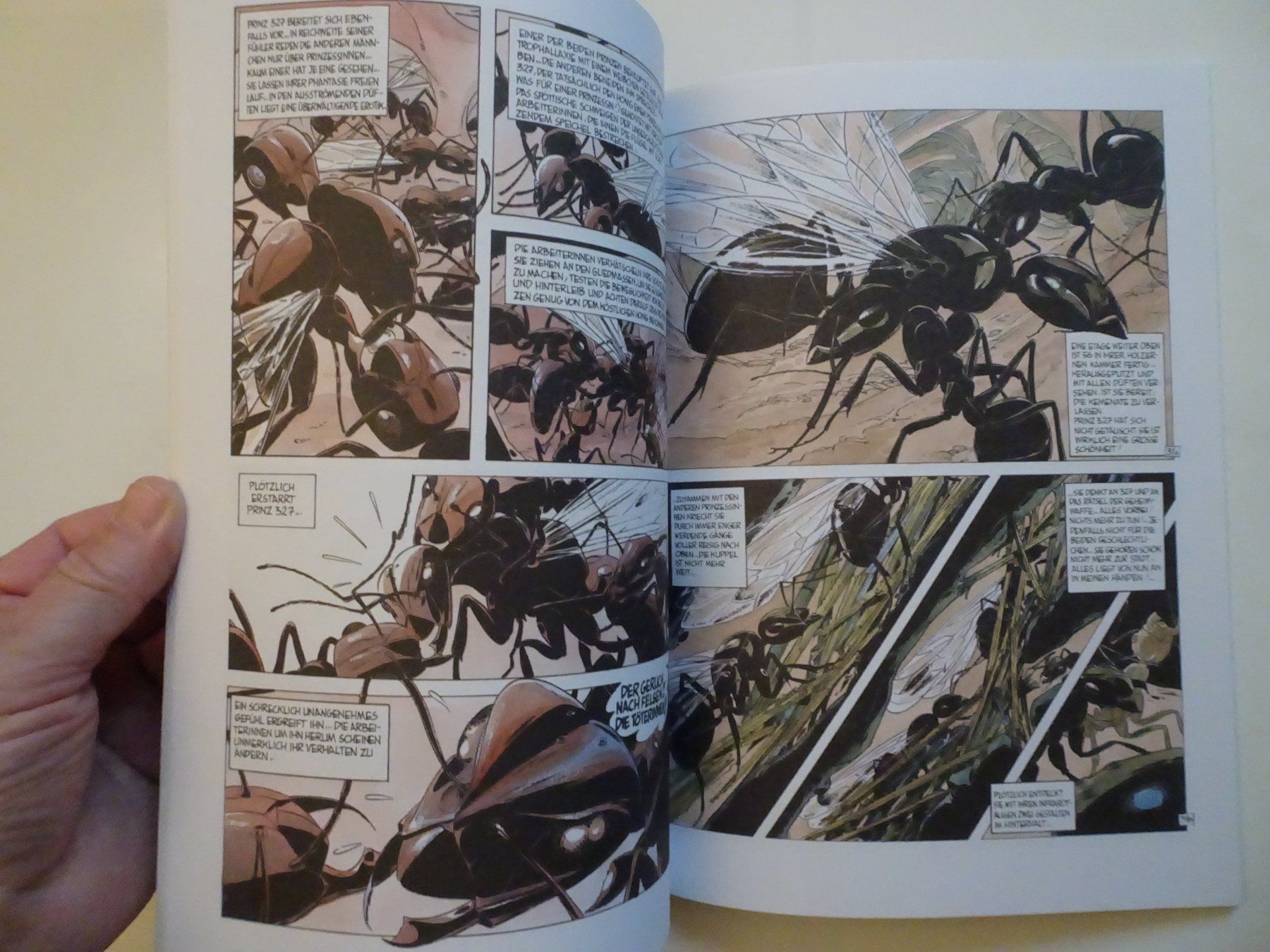 Comics: Bernard Werber: Ameisen - – Gebraucht aus Schönenwerd von schnitzunddrunter 2