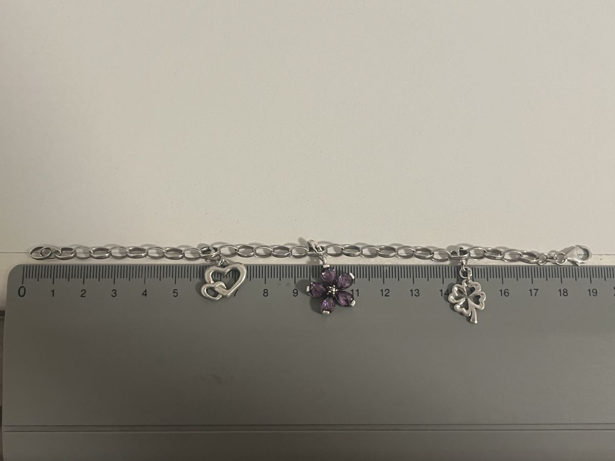 Thomas Sabo Bracciali & Braccialetti: Thomas Sabo Charm-Armband silbrig – Usato da Möhlin venduto da eny_lsk7 1