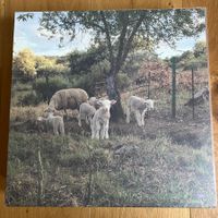 Josephine Foster – No Harm Done