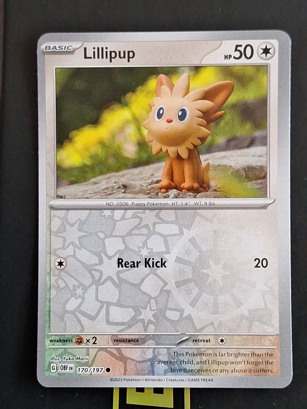 Pokémon Carte collezionabili: Lillipup - Pokemon Reverse Holo Obsidian Flames – Usato da Altstätten SG venduto da GGsGameshop