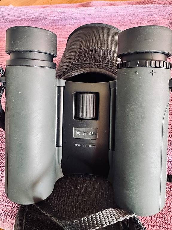 Binocoli: Nikon Sportstar Ex. 10x25 – Usato da Hölstein venduto da vorru 2