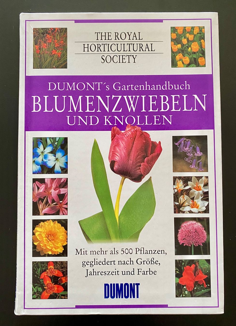 Libri: BLUMENZWIEBELN UND KNOLLEN – Usato da Nussbaumen AG venduto da schuba2000