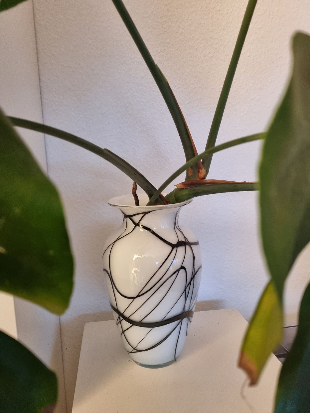 Vasen & Gefässe: Schwarz-weisse Vase – Neu (gemäss Beschreibung) aus Zürich von cle_7zph 2