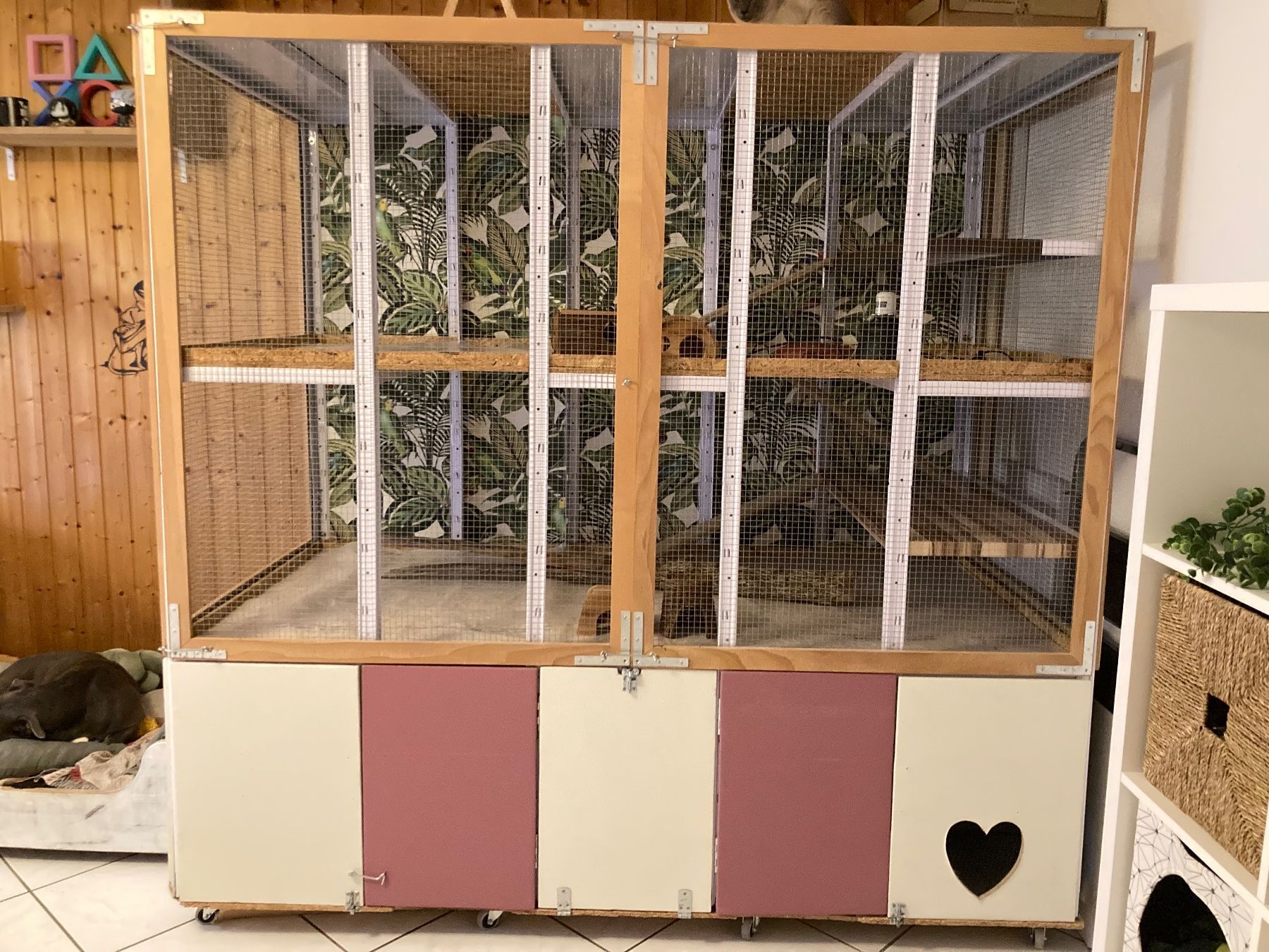 Cages, transport & sécurité: Grande volière - cage  prix à discuter – D'occasion à Enges par Cindy88 2