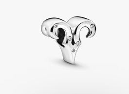 Pandora Charm