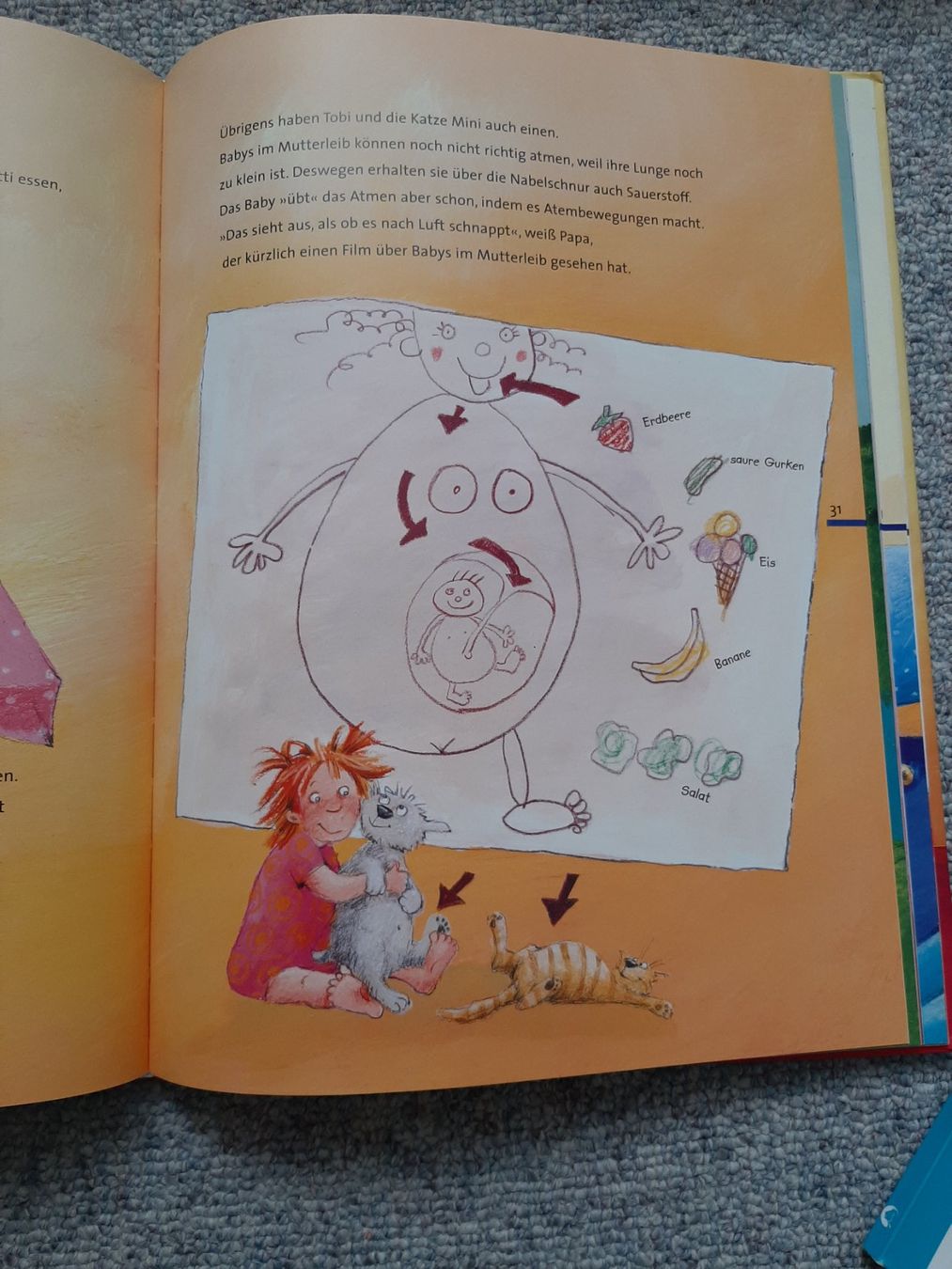 Libri: Aufklärungsbuch – Usato da Wuppenau venduto da roni 2