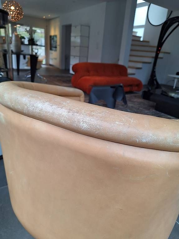 Poltrone: Fauteuil lounge vintage Leon Rosen – Usato da Saillon venduto da Monart23_ 1