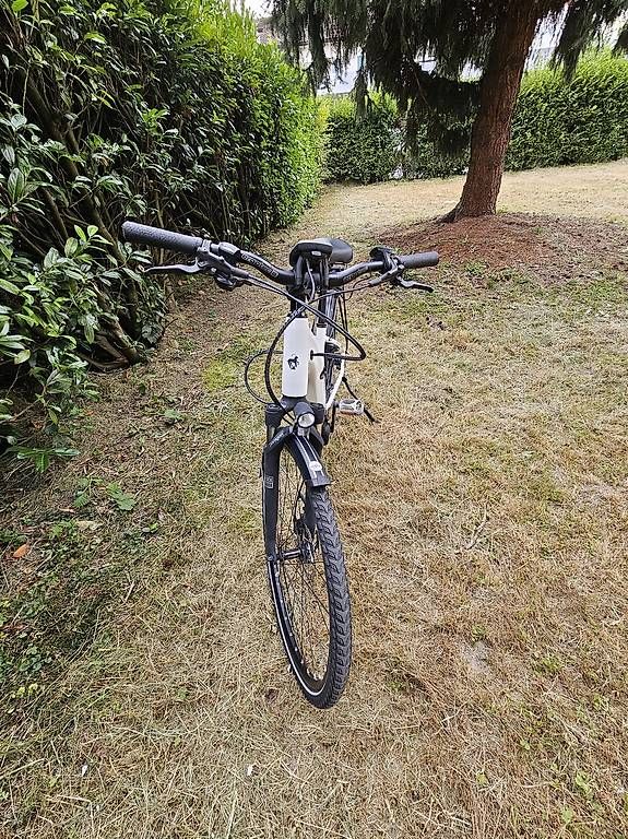 Biciclette: Cresta E-Bike Bosch Performance Line – Usato da Zug venduto da abv_9t5d 4