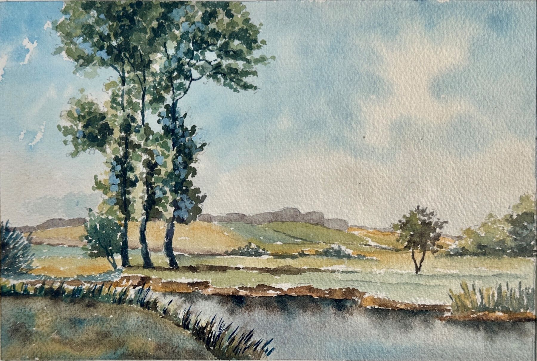 Dipinti: Spielmann -Wohlen 1945 -Aquarell – Usato da Adliswil venduto da Kiambu 1