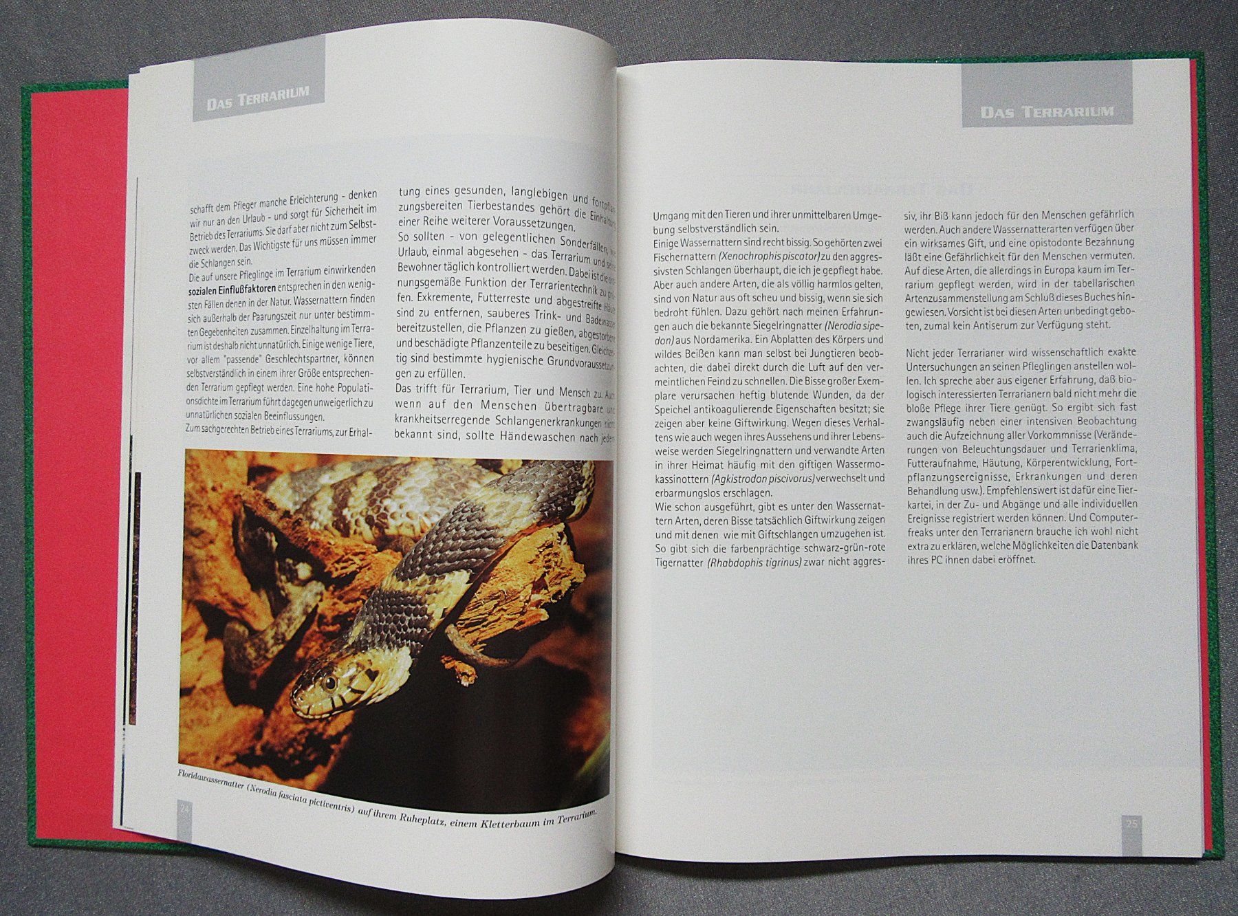 Libri: Wassernattern - Ratgeber von Dr. sc. Dieter Schmidt – Usato da Auenstein venduto da Padabimbim 4