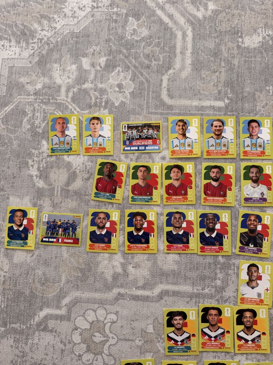 Panini Carte collezionabili: Panini 2026 – Usato da Bülach venduto da nme_j699 1