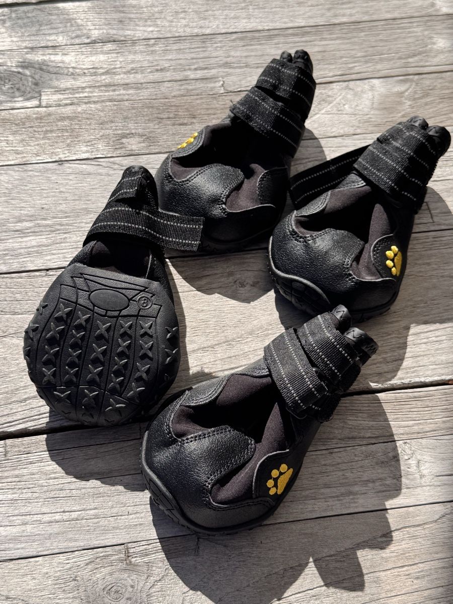 Vêtements: Hundeschuhe schwarz 4er Set – Neuf (Voir description) à Grüningen par stellagolightly 1